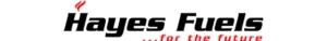 hayes.webp